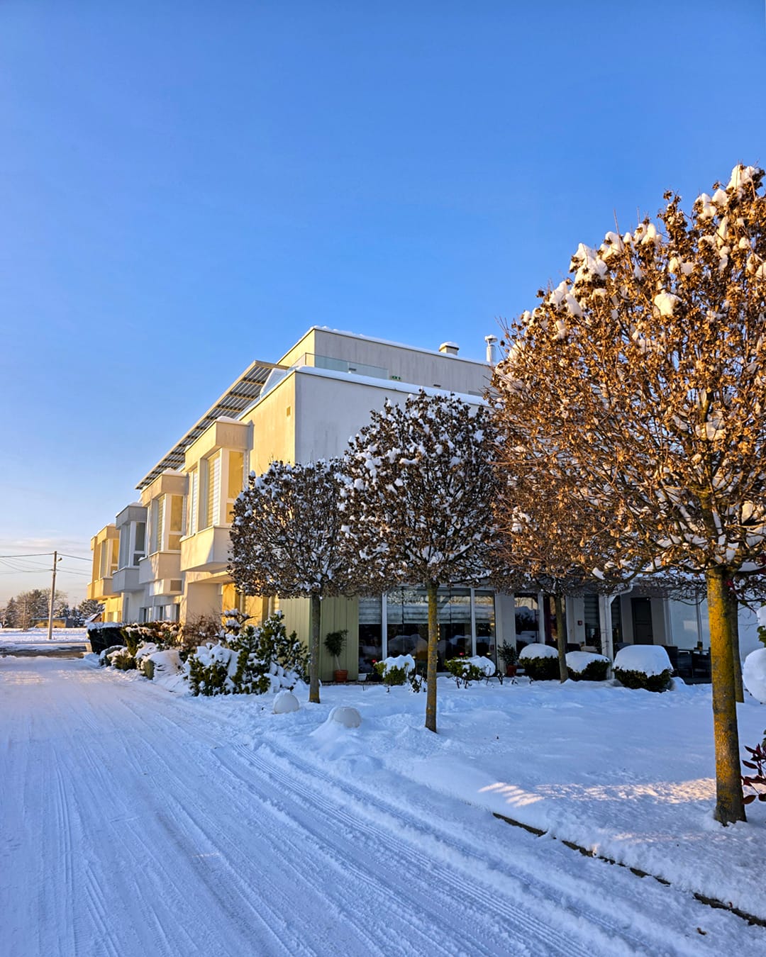 Hotel Magdalena — 4
